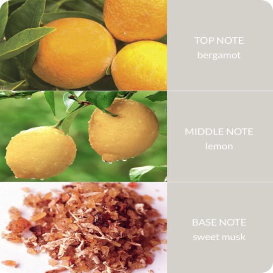 Heart and Home Reed Diffusers Guardian Angel Fragrance Diffusers